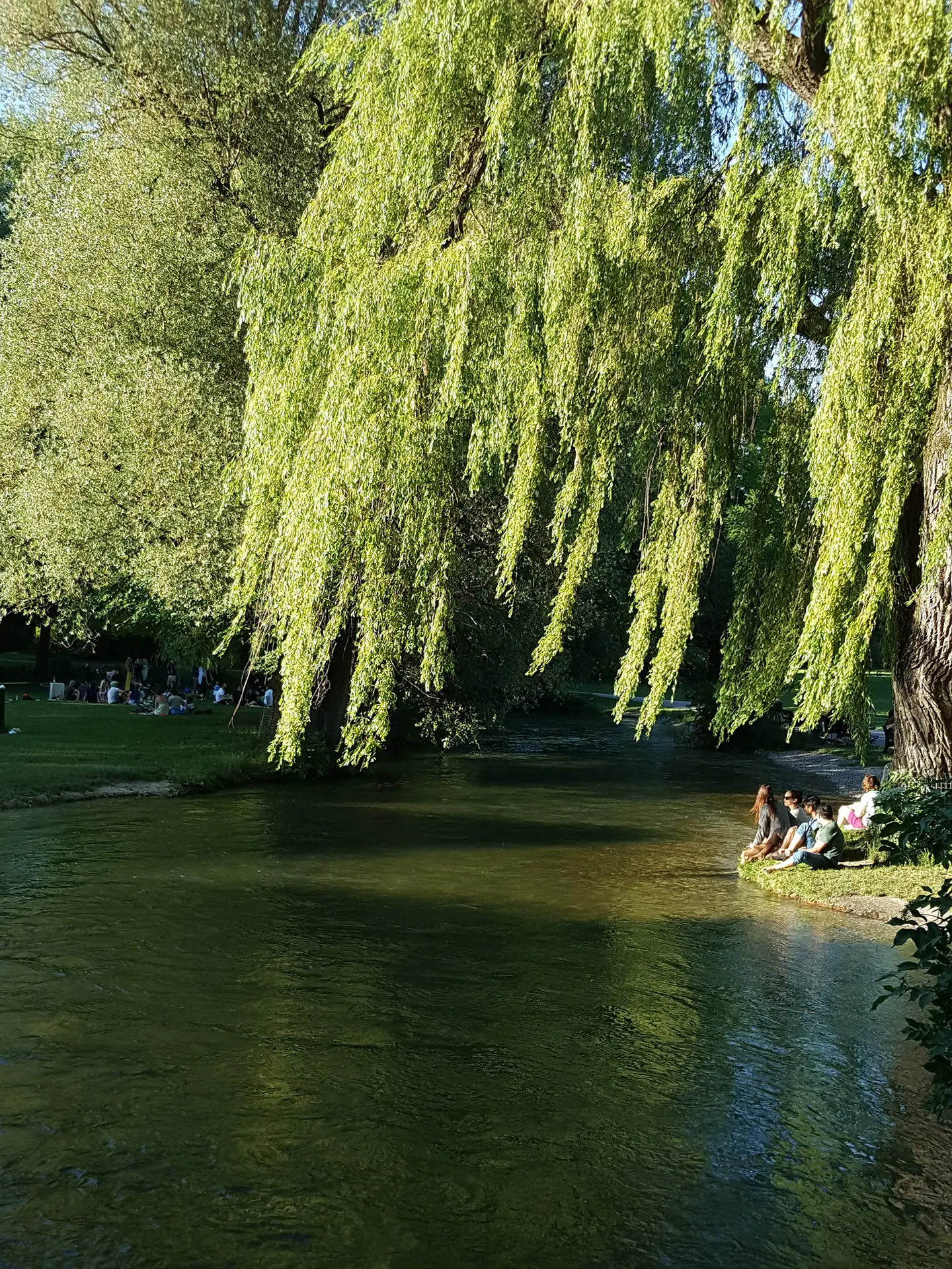English Garden edge and Eisbachwelle in Munich