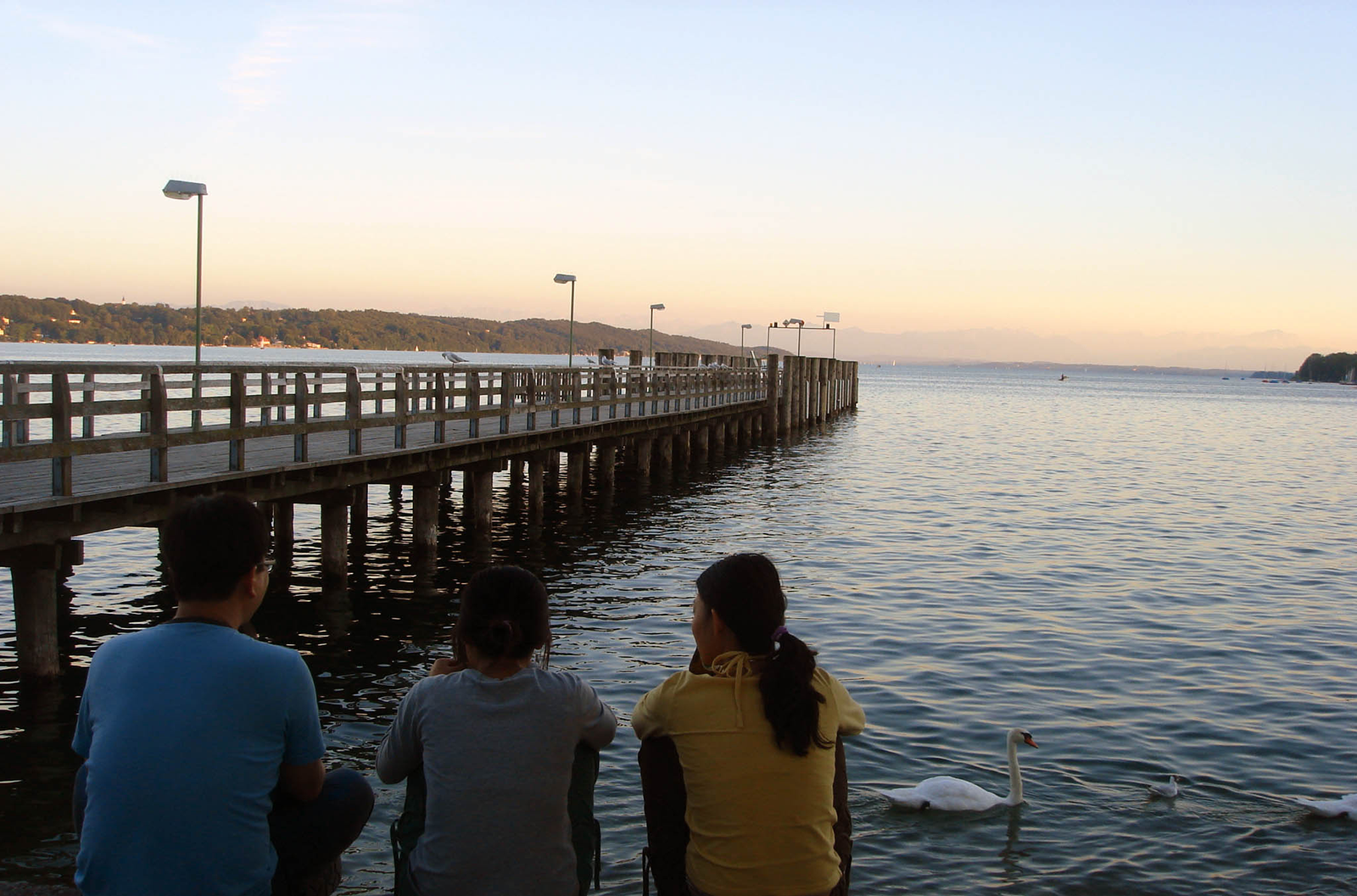Starnberger See lake at evening with pier, swan, and people sitting by the water