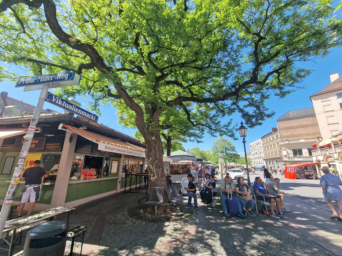 Outdoor seating near Viktualienmarkt in Munich on a sunny summer day