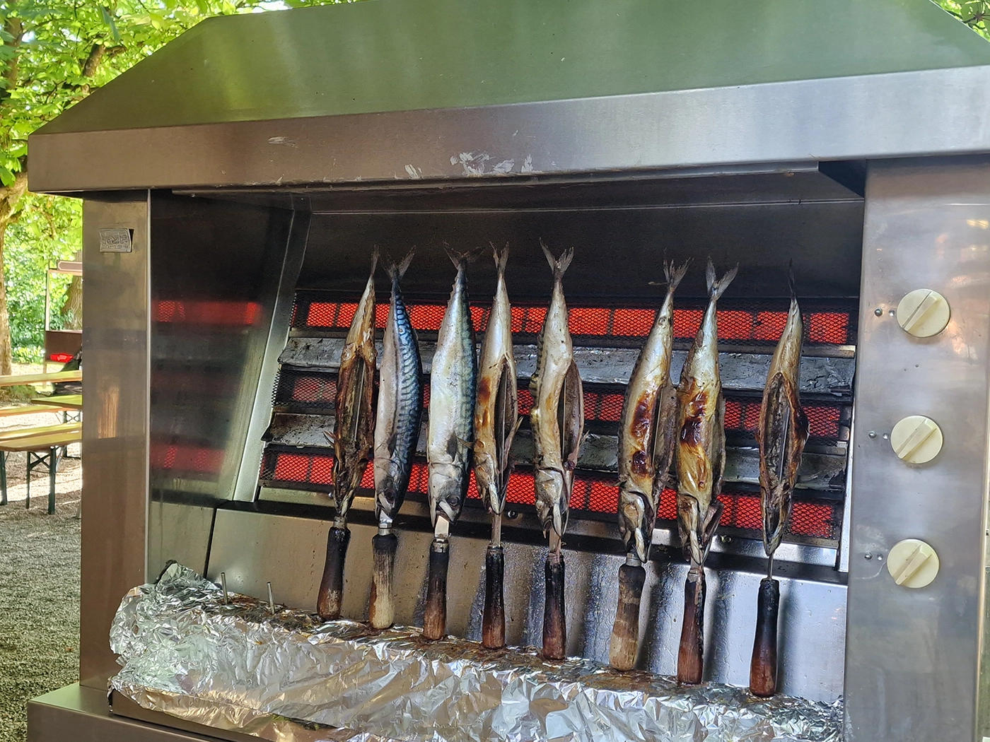 Mackerel grilled on sticks over charcoal at a Munich beer garden