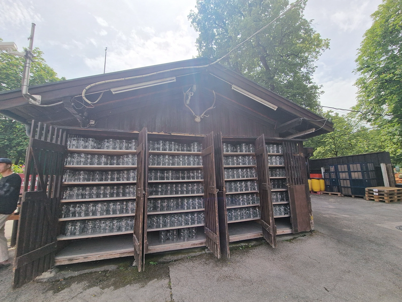 Rows of empty Maß beer mugs at the Hirschgarten self-service beer garden in Munich