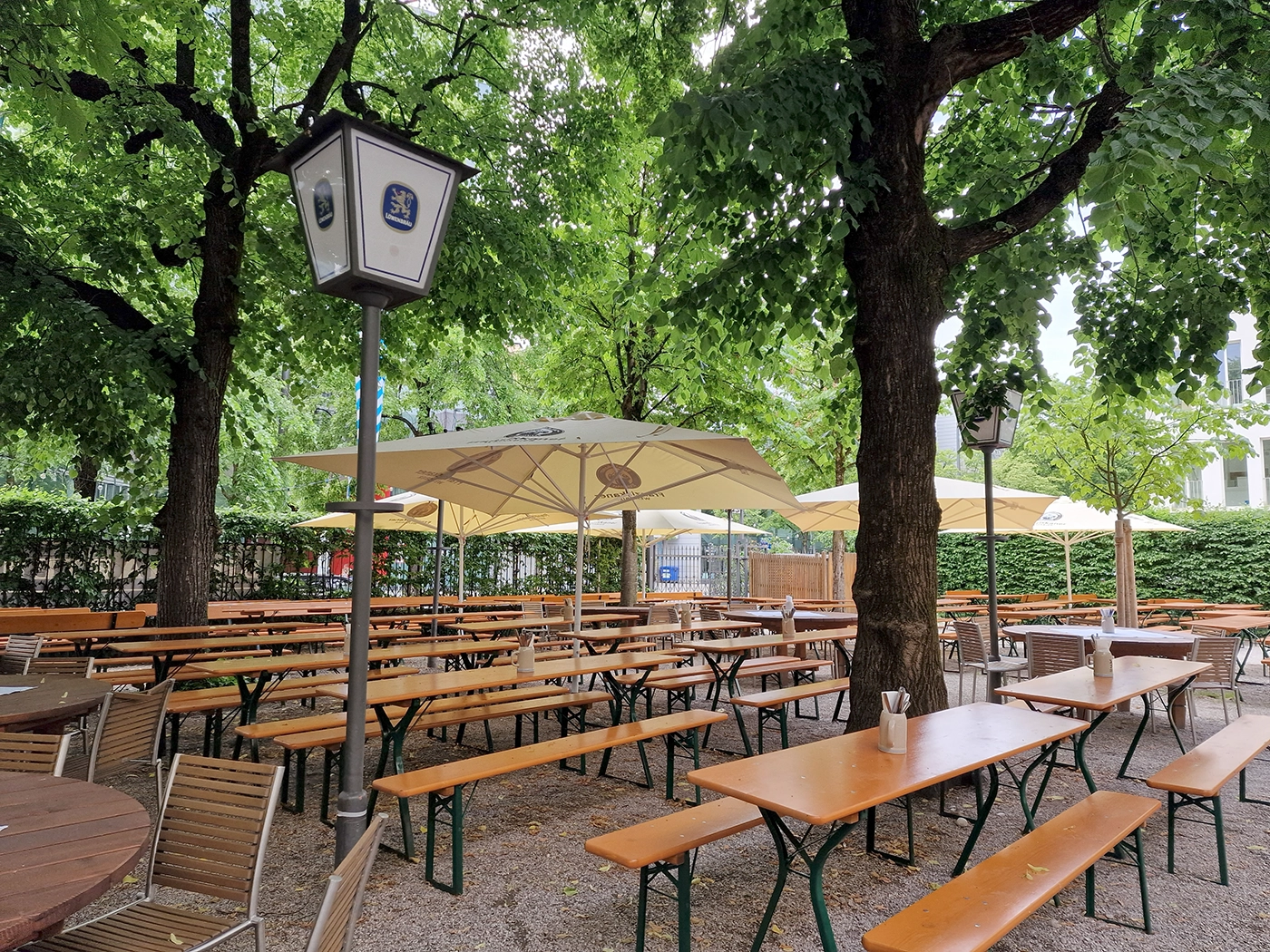 Beer garden tables beneath mature trees at Löwenbräukeller in Munich