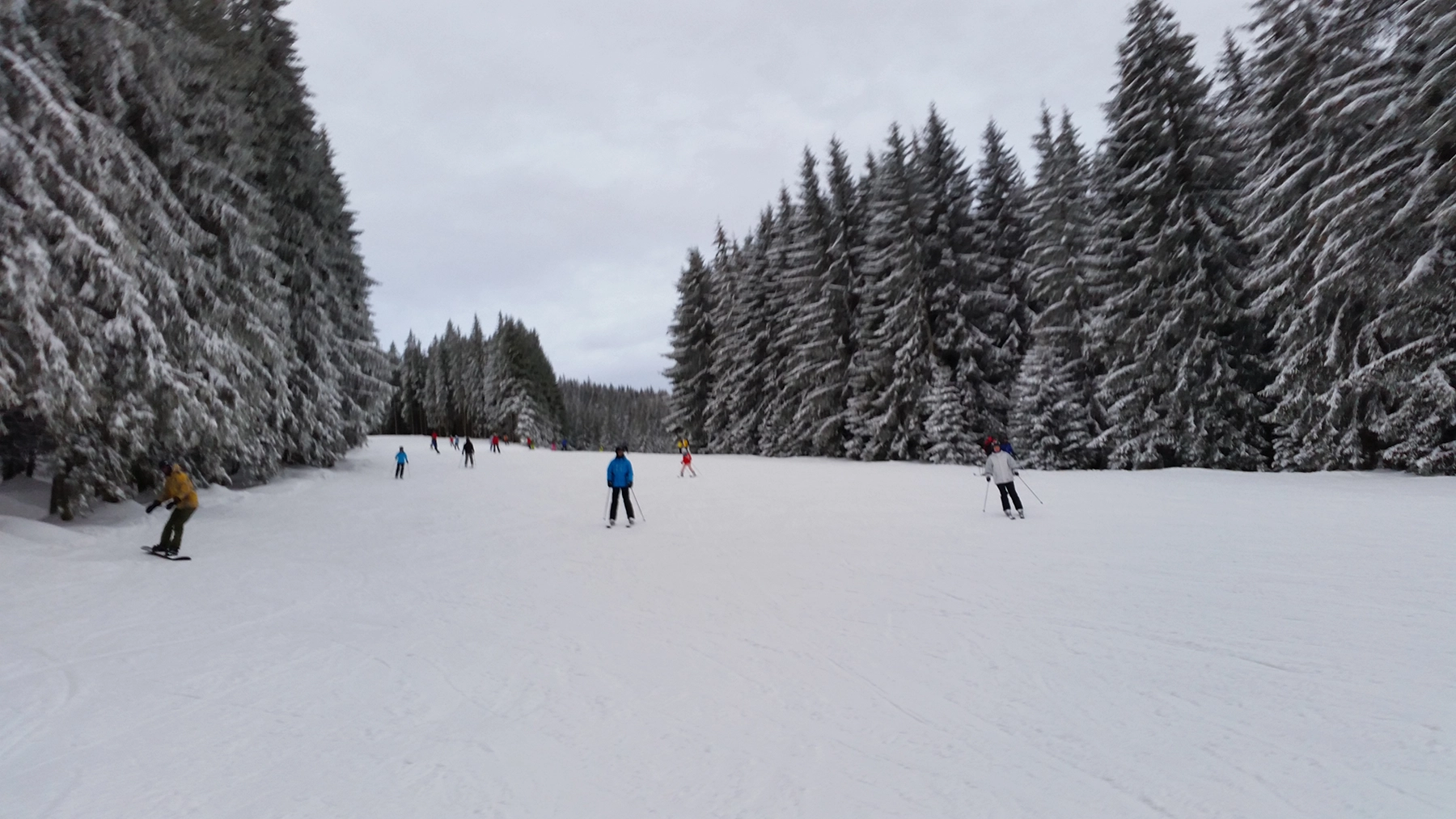 Wide gentle ski piste at Winklmoosalm for beginner and returning skiers